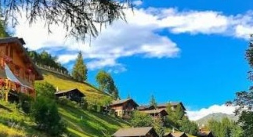 行业前沿交流区 - 爱情岛论坛 - 政策技术新动态从业者共享交流区
